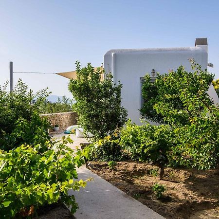 Live & Dream Villa Mykonos Town Exterior photo